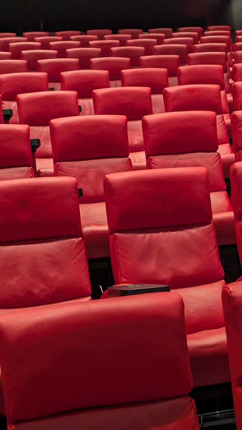 Big Screen or Nothing: The Directors Who Are Still Fighting for the Theater Experience